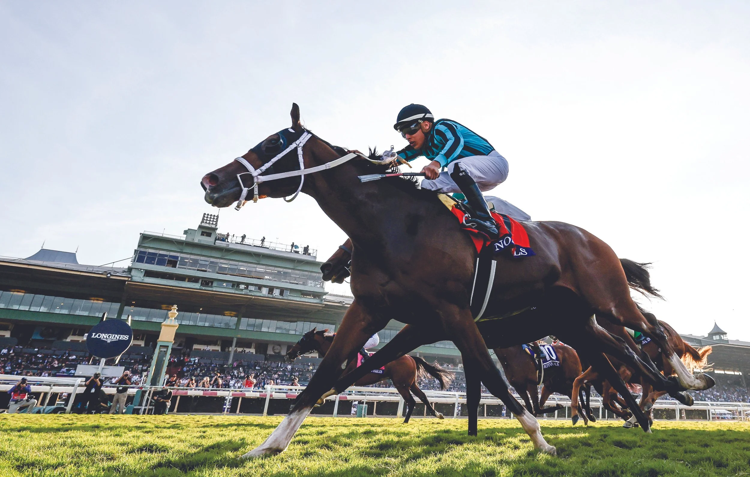 Graded Stakes Winning Owners - Nobals - Vince Foglia (Patricias